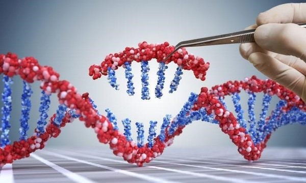 Phương pháp giải trình tự gen được ứng dụng trong đời sống 