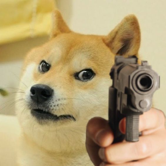 Doge cầm súng 