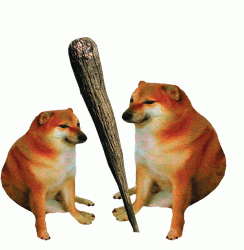 Set 50 sticker hình dán chó shiba cheems doge meme vàng | Lazada.vn