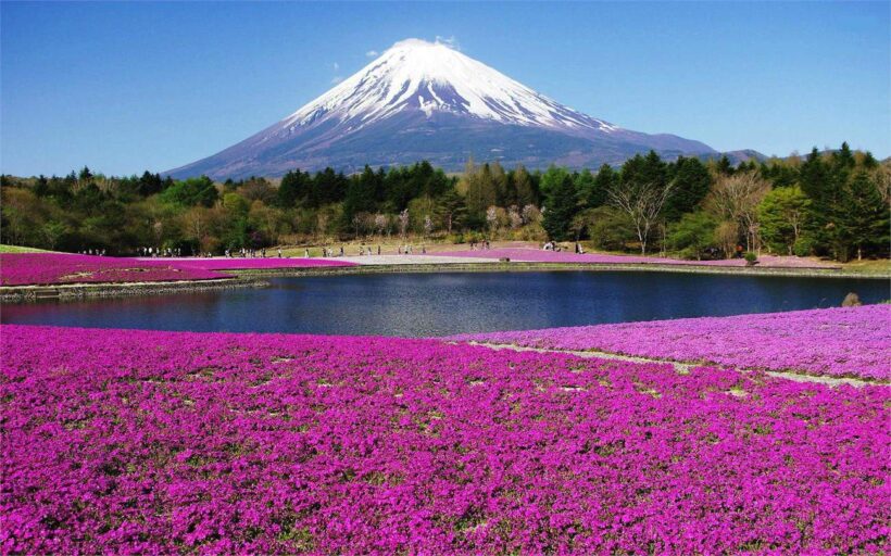 Hình ảnh núi Phú Sĩ Nhật Bản