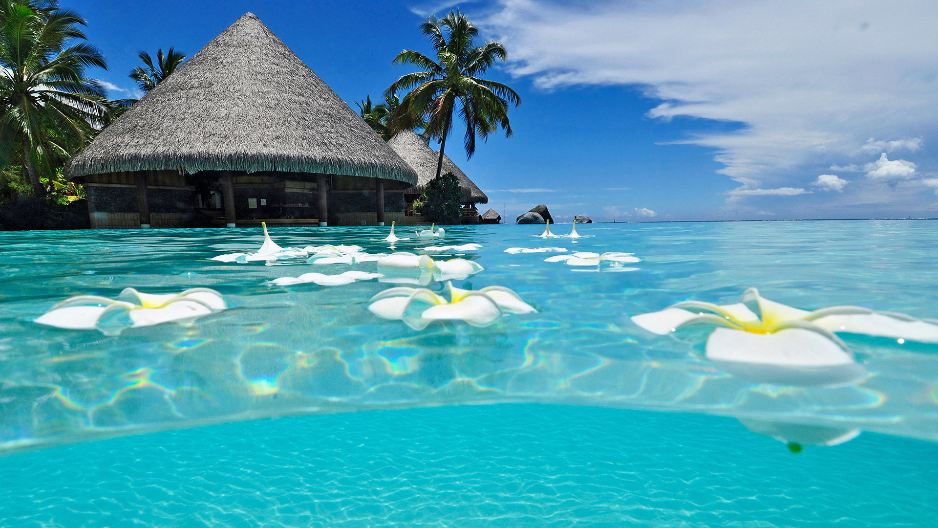 Biển: Khám phá vẻ đẹp của biển xanh ngắt trong hình ảnh này. Chắc chắn sẽ cho bạn cảm giác bình yên và thư giãn!