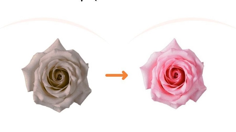 Những điều mà bạn cần biết khi điều trị và làm hồng nhũ hoa