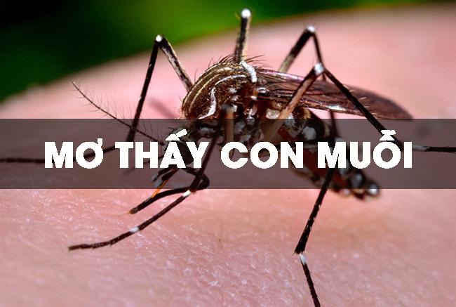 Ý nghĩa giấc mơ thấy muỗi là gì? Nên đánh con gì dễ trúng lớn