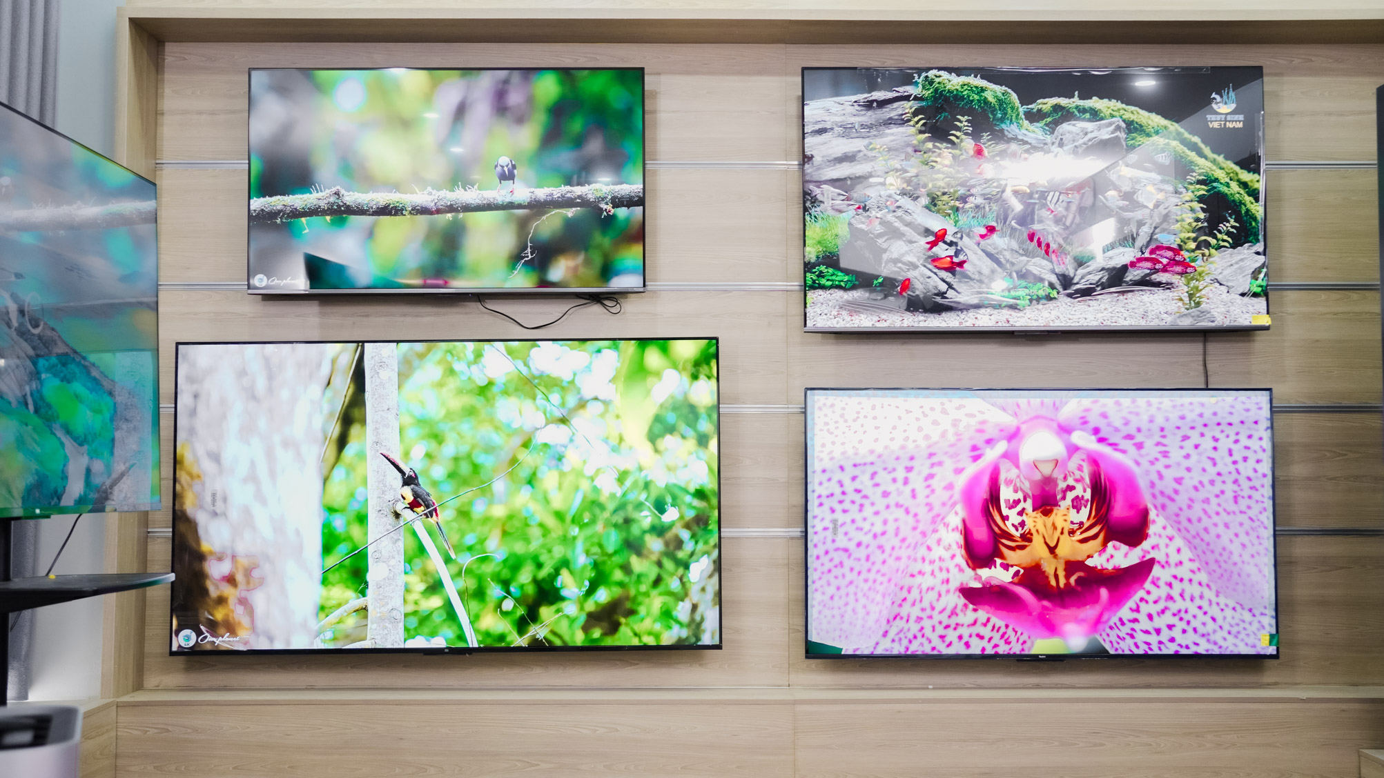 Phong Hoa là đối tác bán TV Xiaomi chính hãng giá rẻ tại Việt Nam