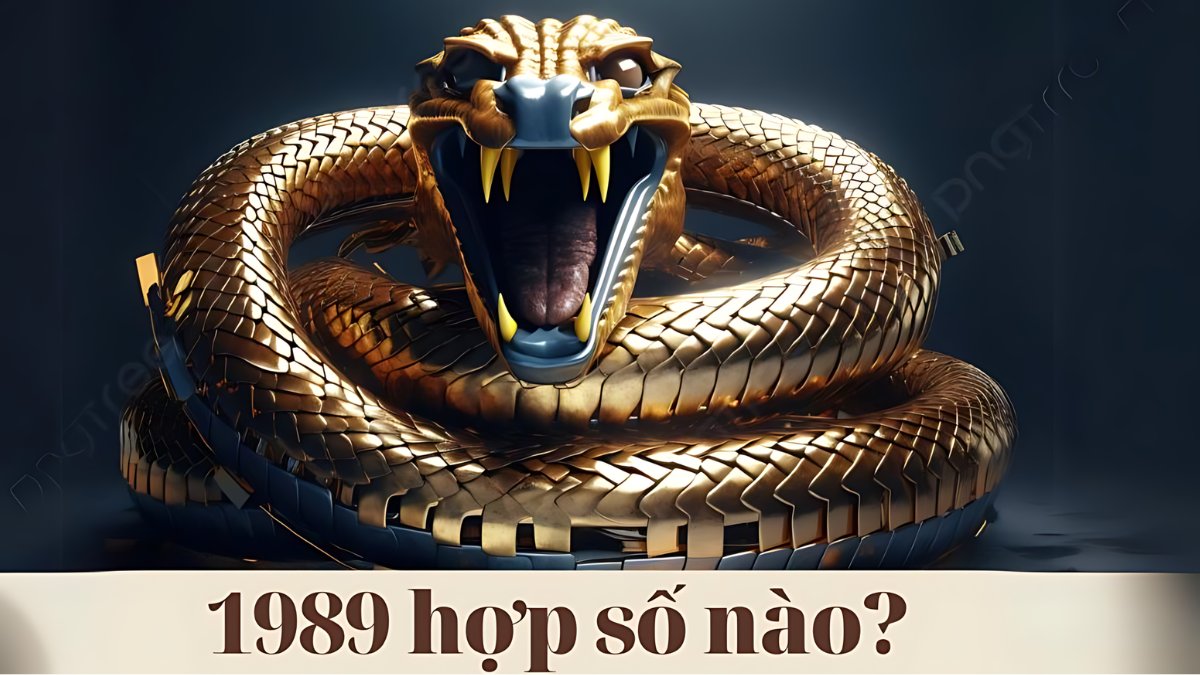 1989 hợp với số nào